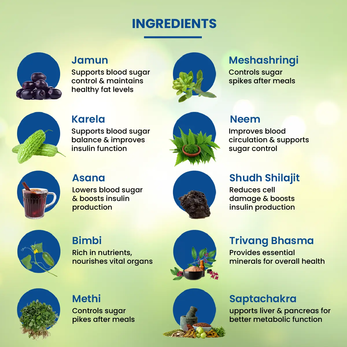 NatureXprt Madhu Life Capsules | 100% Natural Ayurvedic Medicine For Diabetes